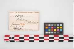 Etikett zu Schleifstein (NHMW-PRAE-026198)